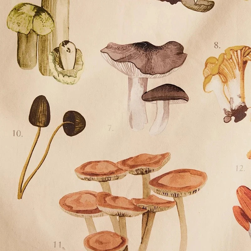 Mushroom Identification Chart Tapestry