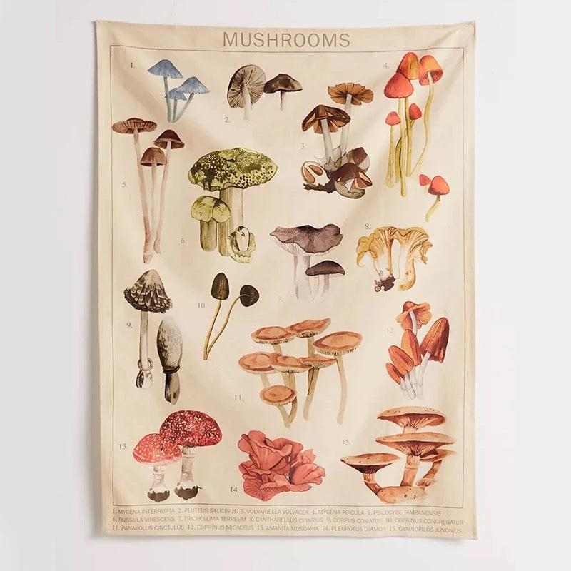 Mushroom Identification Chart Tapestry